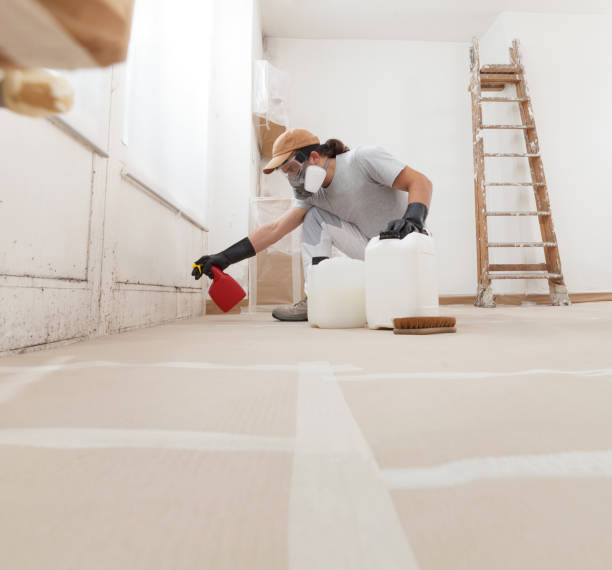 Best Mold Removal for HVAC Installations  in Ridgeland, SC